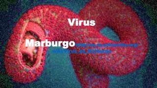 Virus
Marburgohttp://es.m.wikipedia.org/
wiki/Virus_de_Marburgo
 
