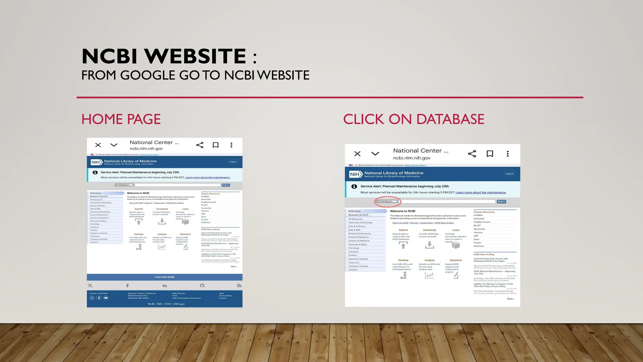 NCBI WEBSITE :
FROM GOOGLE GO TO NCBI WEBSITE
HOME PAGE CLICK ON DATABASE
 