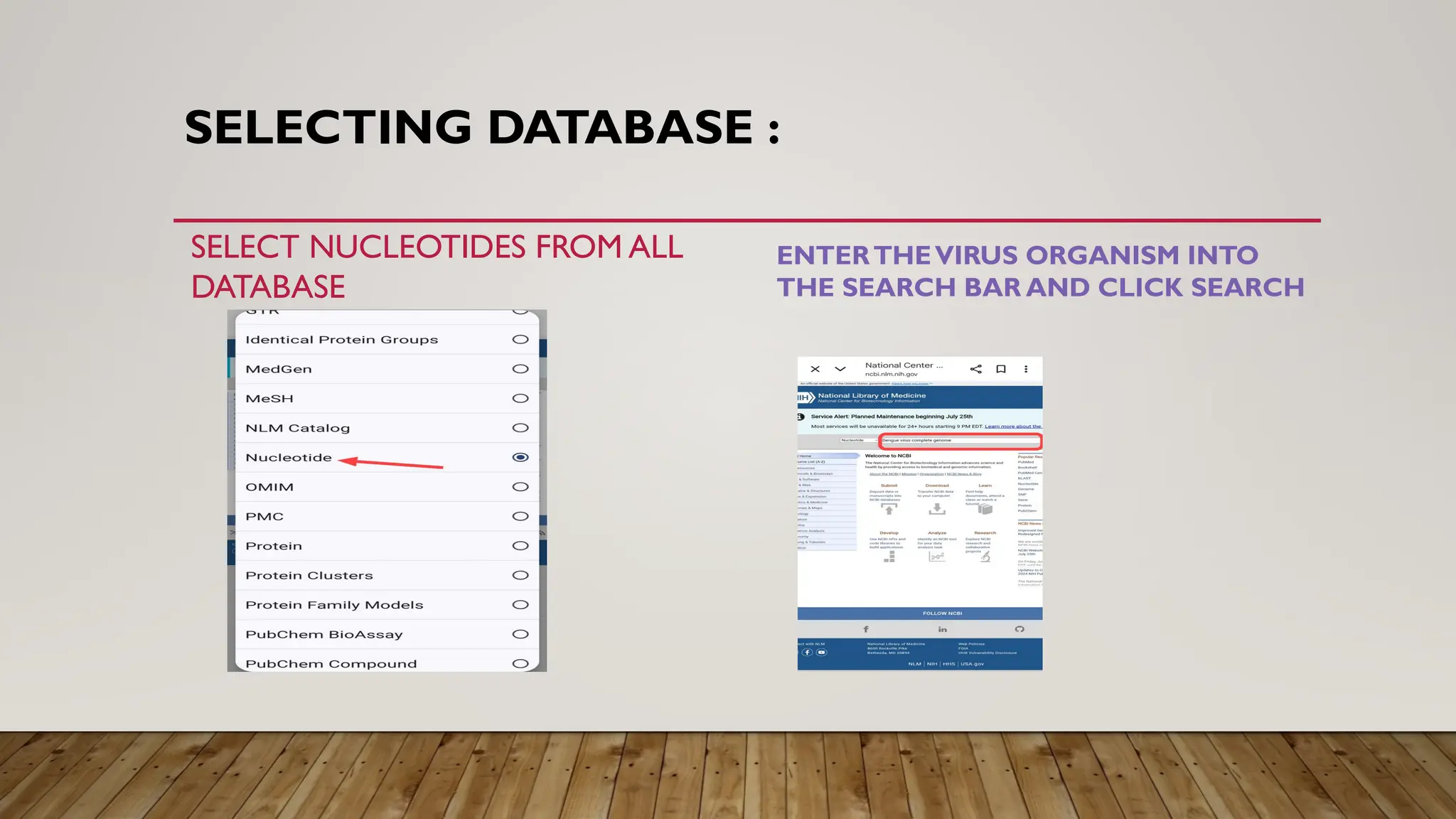 SELECTING DATABASE :
SELECT NUCLEOTIDES FROM ALL
DATABASE
ENTERTHEVIRUS ORGANISM INTO
THE SEARCH BAR AND CLICK SEARCH
 