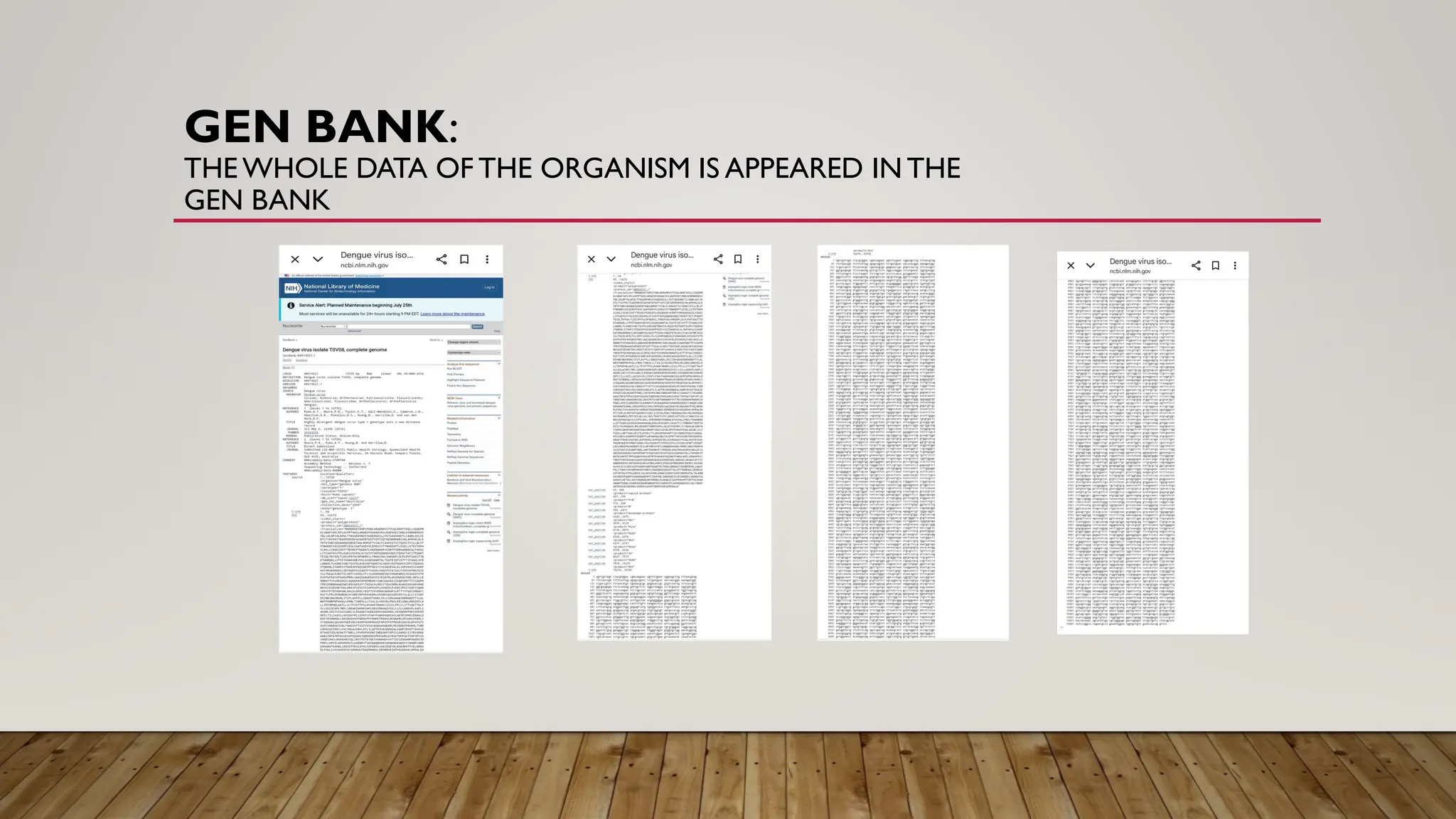 GEN BANK:
THE WHOLE DATA OF THE ORGANISM IS APPEARED IN THE
GEN BANK
 