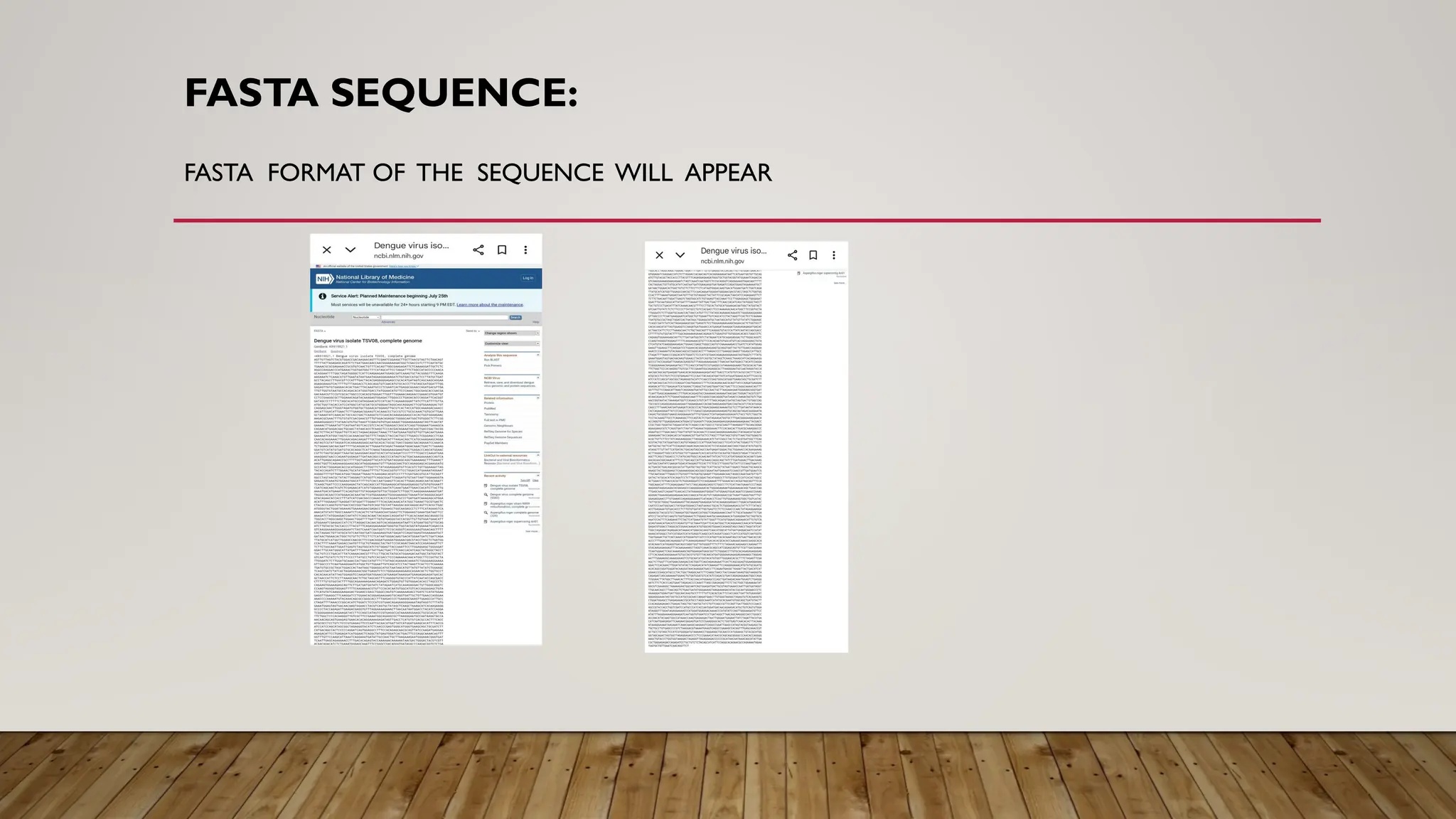 FASTA SEQUENCE:
FASTA FORMAT OF THE SEQUENCE WILL APPEAR
 