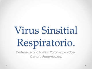 Virus Sinsitial
Respiratorio.
Pertenece a la familia Paramyxoviridae.
        Genero Pneumovirus.
 