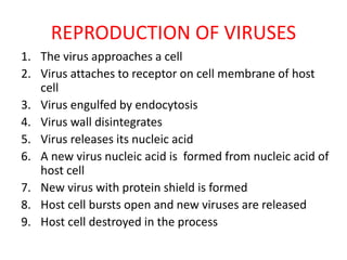 REPRODUCTION OF VIRUSES
1. The virus approaches a cell
2. Virus attaches to receptor on cell membrane of host
cell
3. Virus engulfed by endocytosis
4. Virus wall disintegrates
5. Virus releases its nucleic acid
6. A new virus nucleic acid is formed from nucleic acid of
host cell
7. New virus with protein shield is formed
8. Host cell bursts open and new viruses are released
9. Host cell destroyed in the process
 