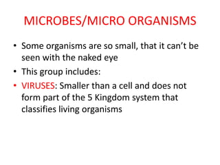 MICROBES/MICRO ORGANISMS
• Some organisms are so small, that it can’t be
seen with the naked eye
• This group includes:
• VIRUSES: Smaller than a cell and does not
form part of the 5 Kingdom system that
classifies living organisms
 