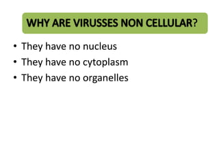 • They have no nucleus
• They have no cytoplasm
• They have no organelles
 