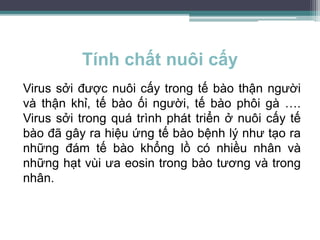 Tính chất nuôi cấy
Virus sởi được nuôi cấy trong tế bào thận người
và thận khỉ, tế bào ối người, tế bào phôi gà ….
Virus sởi trong quá trình phát triển ở nuôi cấy tế
bào đã gây ra hiệu ứng tế bào bệnh lý như tạo ra
những đám tế bào khổng lồ có nhiều nhân và
những hạt vùi ưa eosin trong bào tương và trong
nhân.
 