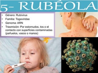 • Género: Rubivirus
• Familia: Togaviridae
• Genoma: ARN
• Trasmisión: Por estornudos, tos o el
contacto con superficies contaminadas
(pañuelos, vasos o manos)
 