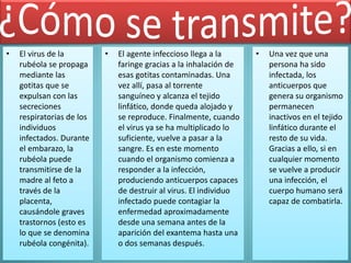 • El virus de la
rubéola se propaga
mediante las
gotitas que se
expulsan con las
secreciones
respiratorias de los
individuos
infectados. Durante
el embarazo, la
rubéola puede
transmitirse de la
madre al feto a
través de la
placenta,
causándole graves
trastornos (esto es
lo que se denomina
rubéola congénita).
• El agente infeccioso llega a la
faringe gracias a la inhalación de
esas gotitas contaminadas. Una
vez allí, pasa al torrente
sanguíneo y alcanza el tejido
linfático, donde queda alojado y
se reproduce. Finalmente, cuando
el virus ya se ha multiplicado lo
suficiente, vuelve a pasar a la
sangre. Es en este momento
cuando el organismo comienza a
responder a la infección,
produciendo anticuerpos capaces
de destruir al virus. El individuo
infectado puede contagiar la
enfermedad aproximadamente
desde una semana antes de la
aparición del exantema hasta una
o dos semanas después.
• Una vez que una
persona ha sido
infectada, los
anticuerpos que
genera su organismo
permanecen
inactivos en el tejido
linfático durante el
resto de su vida.
Gracias a ello, si en
cualquier momento
se vuelve a producir
una infección, el
cuerpo humano será
capaz de combatirla.
 