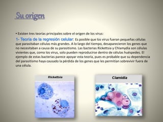 Su origen
• Existen tres teorías principales sobre el origen de los virus:
1- Teoría de la regresión celular: Es posible que los virus fueran pequeñas células
que parasitaban células más grandes. A lo largo del tiempo, desaparecieron los genes que
no necesitaban a causa de su parasitismo. Las bacterias Rickettsia y Chlamydia son células
vivientes que, como los virus, solo pueden reproducirse dentro de células huéspedes. El
ejemplo de estas bacterias parece apoyar esta teoría, pues es probable que su dependencia
del parasitismo haya causado la pérdida de los genes que les permitían sobrevivir fuera de
una célula.
 