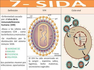 -Enfermedad causada
por el virus de la
inmunodeficiencia
humana (VIH)
VIH Ciclo viral
S INDROME DE
I NMUNO
D EFICIENCIA
A DQUIRIDA
-Ataca a las células con
receptores CD4 , como
los linfocitos y monocitos
-Se manifiesta por la
disminución del sistema
inmune SIDA
Los pacientes mueren por
infecciones oportunistas
Definición
El VIH ha sido encontrado en
la sangre , esperma, saliva,
lagrimas, leche maternas,
secreciones vaginales
 