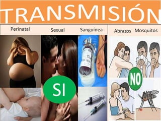 SIDA
Sexual AbrazosSanguíneaPerinatal Mosquitos
SI
 