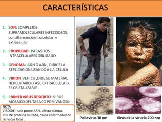 NOTA
VIROIDE : solo posee ARN, afecta plantas.
PRION: proteína mutada, causa enfermedad de
las vacas locas .
 