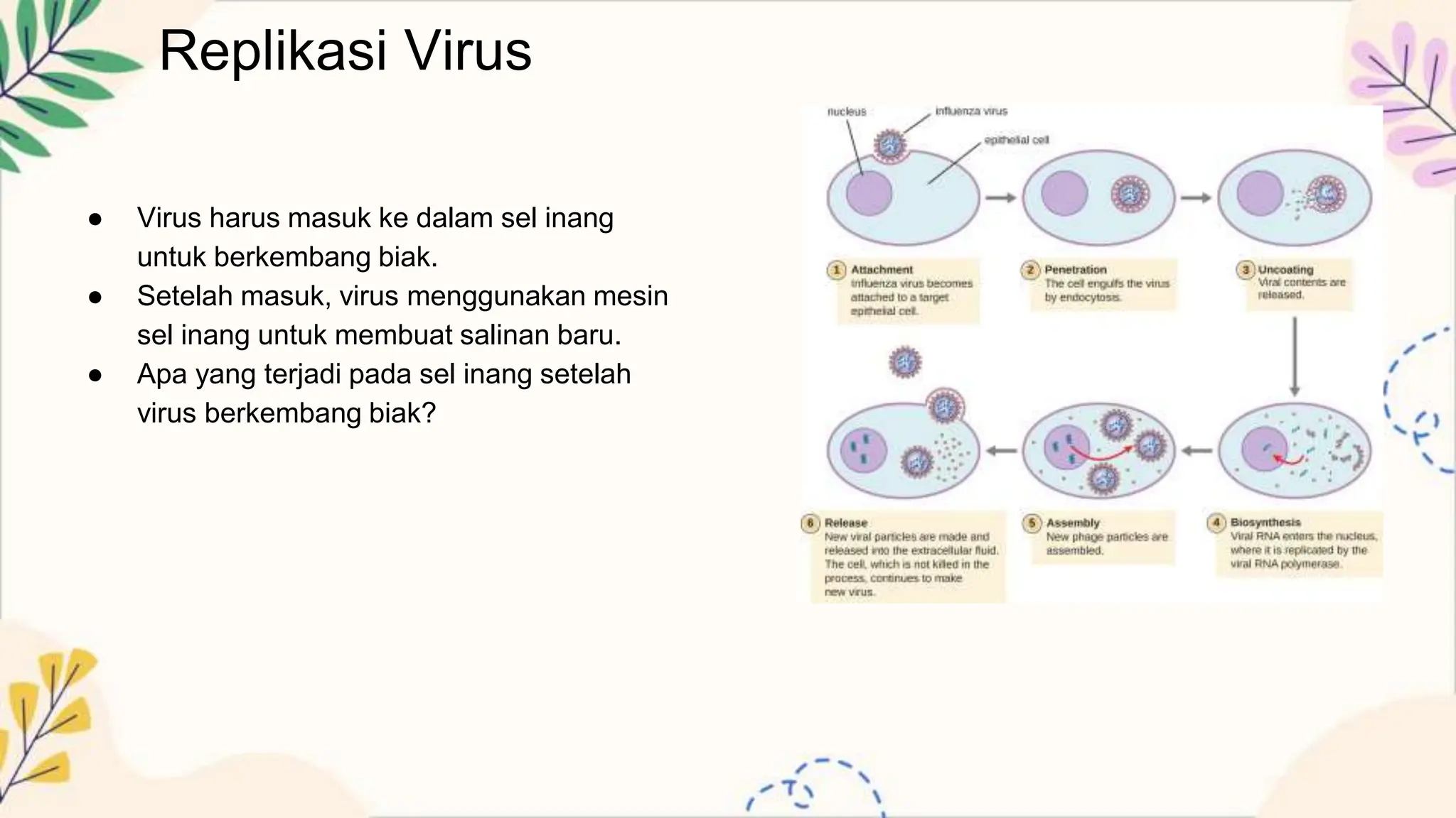 Sel Inang STRUKTUR TUBUH VIRUS DAN FUNGSINYA..pptx