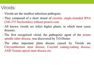 Viroids:
• Viroids are the smallest infectious pathogens.
• They composed of a short strand of circular, single-stranded RNA
(246-375 Nucleotides) without protein coat.
• All known viroids are infect higher plants, in which most cause
diseases.
• The first recognized viroid, the pathogenic agent of the potato
spindle tuber disease, was discovered by T.O.Diener.
• The other important plant disease caused by Viroids are
Chrysanthemum stunt disease, Cocount cadang-cadang disease,
AND Tomato apical stunt disease etc.
 