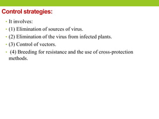 Control strategies:
• It involves:
• (1) Elimination of sources of virus.
• (2) Elimination of the virus from infected plants.
• (3) Control of vectors.
• (4) Breeding for resistance and the use of cross-protection
methods.
 