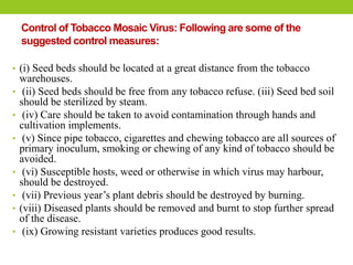 Control of Tobacco Mosaic Virus: Following are some of the
suggested control measures:
• (i) Seed beds should be located at a great distance from the tobacco
warehouses.
• (ii) Seed beds should be free from any tobacco refuse. (iii) Seed bed soil
should be sterilized by steam.
• (iv) Care should be taken to avoid contamination through hands and
cultivation implements.
• (v) Since pipe tobacco, cigarettes and chewing tobacco are all sources of
primary inoculum, smoking or chewing of any kind of tobacco should be
avoided.
• (vi) Susceptible hosts, weed or otherwise in which virus may harbour,
should be destroyed.
• (vii) Previous year’s plant debris should be destroyed by burning.
• (viii) Diseased plants should be removed and burnt to stop further spread
of the disease.
• (ix) Growing resistant varieties produces good results.
 