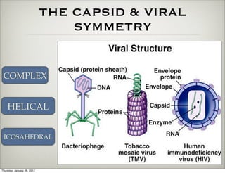 THE CAPSID & VIRAL
                                 SYMMETRY


 COMPLEX


    HELICAL


 ICOSAHEDRAL



Thursday, January 26, 2012
 