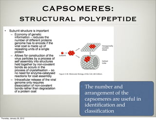 CAPSOMERES:
                    structural polypeptide




                               ✤   The number and
                                   arrangement of the
                                   capsomeres are useful in
                                   identiﬁcation and
                                   classiﬁcation
Thursday, January 26, 2012
 