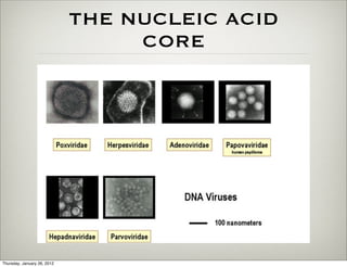 THE NUCLEIC ACID
                                  CORE




Thursday, January 26, 2012
 