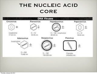 THE NUCLEIC ACID
                                  CORE




Thursday, January 26, 2012
 