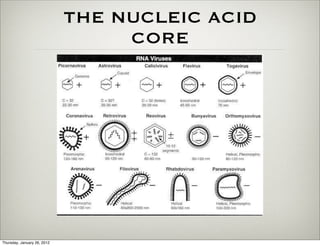 THE NUCLEIC ACID
                                  CORE




Thursday, January 26, 2012
 
