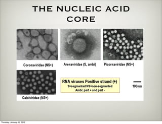 THE NUCLEIC ACID
                                  CORE




Thursday, January 26, 2012
 