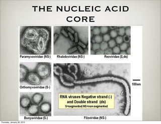 THE NUCLEIC ACID
                                  CORE




Thursday, January 26, 2012
 