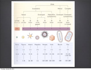 Thursday, January 26, 2012
 