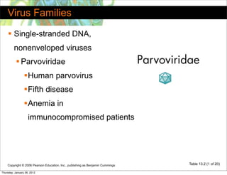 Virus Families
     Single-stranded DNA,
         nonenveloped viruses
            Parvoviridae
                 Human parvovirus
                 Fifth disease
                 Anemia in
                    immunocompromised patients




    Copyright © 2006 Pearson Education, Inc., publishing as Benjamin Cummings   Table 13.2 (1 of 20)

Thursday, January 26, 2012
 