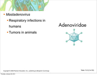  Mastadenovirus
            Respiratory infections in
              humans
            Tumors in animals




    Copyright © 2006 Pearson Education, Inc., publishing as Benjamin Cummings   Table 13.2 (2 of 20)

Thursday, January 26, 2012
 