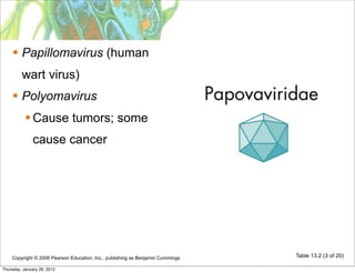  Papillomavirus (human
         wart virus)
     Polyomavirus
            Cause tumors; some
              cause cancer




    Copyright © 2006 Pearson Education, Inc., publishing as Benjamin Cummings   Table 13.2 (3 of 20)

Thursday, January 26, 2012
 