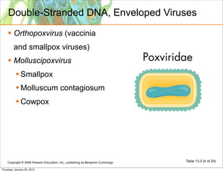 Double-Stranded DNA, Enveloped Viruses
     Orthopoxvirus (vaccinia
         and smallpox viruses)
     Molluscipoxvirus
            Smallpox
            Molluscum contagiosum
            Cowpox




    Copyright © 2006 Pearson Education, Inc., publishing as Benjamin Cummings   Table 13.2 (4 of 20)

Thursday, January 26, 2012
 
