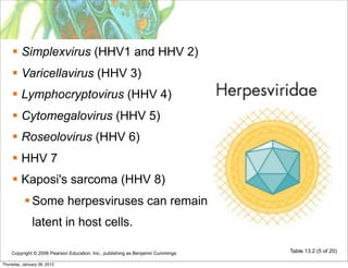  Simplexvirus (HHV1 and HHV 2)
     Varicellavirus (HHV 3)
     Lymphocryptovirus (HHV 4)
     Cytomegalovirus (HHV 5)
     Roseolovirus (HHV 6)
     HHV 7
     Kaposi's sarcoma (HHV 8)
            Some herpesviruses can remain
              latent in host cells.

    Copyright © 2006 Pearson Education, Inc., publishing as Benjamin Cummings   Table 13.2 (5 of 20)

Thursday, January 26, 2012
 