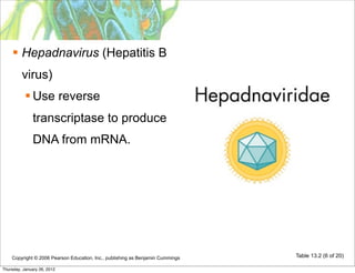  Hepadnavirus (Hepatitis B
         virus)
            Use reverse
              transcriptase to produce
              DNA from mRNA.




    Copyright © 2006 Pearson Education, Inc., publishing as Benjamin Cummings   Table 13.2 (6 of 20)

Thursday, January 26, 2012
 