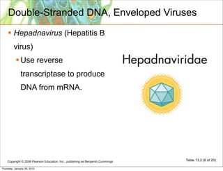Double-Stranded DNA, Enveloped Viruses
     Hepadnavirus (Hepatitis B
         virus)
            Use reverse
              transcriptase to produce
              DNA from mRNA.




    Copyright © 2006 Pearson Education, Inc., publishing as Benjamin Cummings   Table 13.2 (6 of 20)

Thursday, January 26, 2012
 