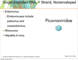 Single-Stranded RNA, + Strand, Nonenveloped

     Enterovirus
            Enteroviruses include
              poliovirus and
              coxsackievirus.
     Rhinovirus
     Hepatitis A virus




    Copyright © 2006 Pearson Education, Inc., publishing as Benjamin Cummings   Table 13.2 (7 of 20)

Thursday, January 26, 2012
 
