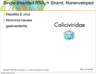 Single-Stranded RNA, + Strand, Nonenveloped

     Hepatitis E virus
     Norovirus causes
         gastroenteritis.




    Copyright © 2006 Pearson Education, Inc., publishing as Benjamin Cummings   Table 13.2 (8 of 20)

Thursday, January 26, 2012
 