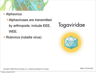  Alphavirus
            Alphaviruses are transmitted
              by arthropods; include EEE,
              WEE.
     Rubivirus (rubella virus)




    Copyright © 2006 Pearson Education, Inc., publishing as Benjamin Cummings   Table 13.2 (9 of 20)

Thursday, January 26, 2012
 