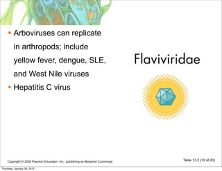  Arboviruses can replicate
         in arthropods; include
         yellow fever, dengue, SLE,
         and West Nile viruses
     Hepatitis C virus




    Copyright © 2006 Pearson Education, Inc., publishing as Benjamin Cummings   Table 13.2 (10 of 20)

Thursday, January 26, 2012
 