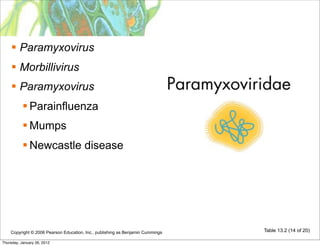  Paramyxovirus
     Morbillivirus
     Paramyxovirus
            Parainfluenza
            Mumps
            Newcastle disease




    Copyright © 2006 Pearson Education, Inc., publishing as Benjamin Cummings   Table 13.2 (14 of 20)

Thursday, January 26, 2012
 