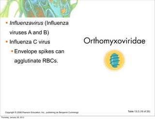  Influenzavirus (Influenza
         viruses A and B)
     Influenza C virus
            Envelope spikes can
              agglutinate RBCs.




    Copyright © 2006 Pearson Education, Inc., publishing as Benjamin Cummings   Table 13.2 (16 of 20)

Thursday, January 26, 2012
 