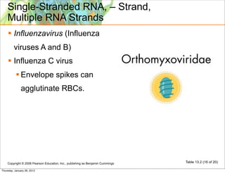 Single-Stranded RNA, – Strand,
    Multiple RNA Strands
     Influenzavirus (Influenza
         viruses A and B)
     Influenza C virus
            Envelope spikes can
              agglutinate RBCs.




    Copyright © 2006 Pearson Education, Inc., publishing as Benjamin Cummings   Table 13.2 (16 of 20)

Thursday, January 26, 2012
 