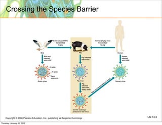 Crossing the Species Barrier




    Copyright © 2006 Pearson Education, Inc., publishing as Benjamin Cummings   UN 13.3

Thursday, January 26, 2012
 