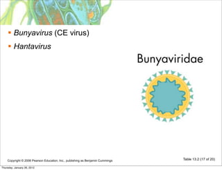 Bunyavirus (CE virus)
     Hantavirus




    Copyright © 2006 Pearson Education, Inc., publishing as Benjamin Cummings   Table 13.2 (17 of 20)

Thursday, January 26, 2012
 