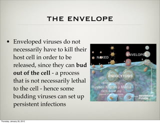 the envelope

     • Enveloped viruses do not
       necessarily have to kill their
       host cell in order to be
       released, since they can bud
       out of the cell - a process
       that is not necessarily lethal
       to the cell - hence some
       budding viruses can set up
       persistent infections

Thursday, January 26, 2012
 