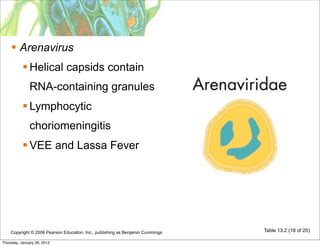 Arenavirus
            Helical capsids contain
              RNA-containing granules
            Lymphocytic
              choriomeningitis
            VEE and Lassa Fever




    Copyright © 2006 Pearson Education, Inc., publishing as Benjamin Cummings   Table 13.2 (18 of 20)

Thursday, January 26, 2012
 