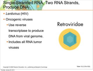 Single-Stranded RNA, Two RNA Strands,
    Produce DNA
     Lentivirus (HIV)
     Oncogenic viruses
            Use reverse
              transcriptase to produce
              DNA from viral genome.
            Includes all RNA tumor
              viruses




    Copyright © 2006 Pearson Education, Inc., publishing as Benjamin Cummings   Table 13.2 (19 of 20)

Thursday, January 26, 2012
 