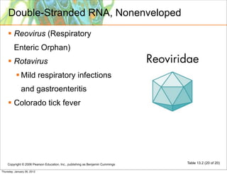 Double-Stranded RNA, Nonenveloped
     Reovirus (Respiratory
         Enteric Orphan)
     Rotavirus
            Mild respiratory infections
              and gastroenteritis
     Colorado tick fever




    Copyright © 2006 Pearson Education, Inc., publishing as Benjamin Cummings   Table 13.2 (20 of 20)

Thursday, January 26, 2012
 