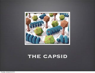 the capsid
Thursday, January 26, 2012
 