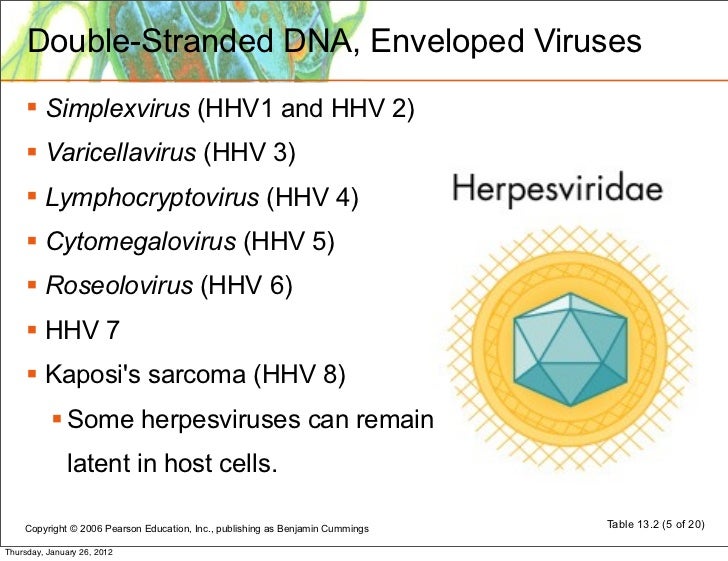 Virus Structure Classification Replication Virus Structure Classification Replication
